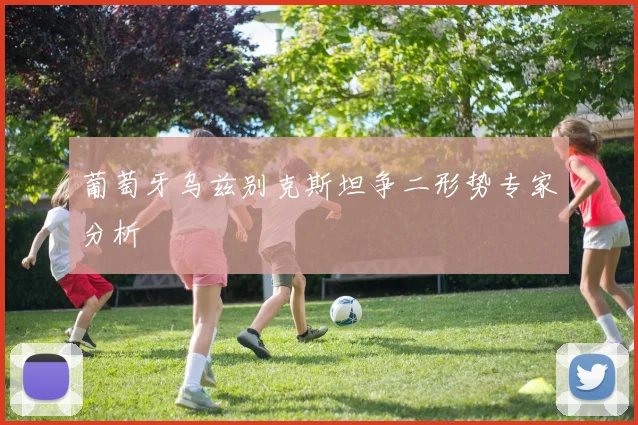 葡萄牙乌兹别克斯坦争二形势专家分析
