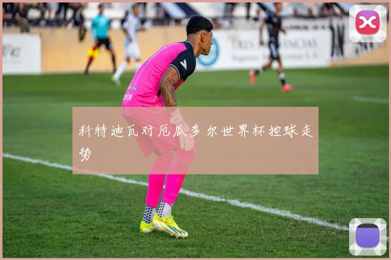 科特迪瓦对厄瓜多尔世界杯控球走势