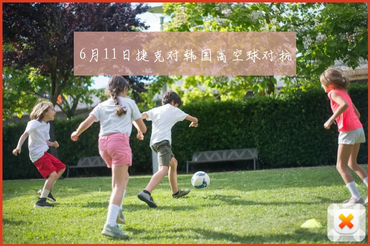 6月11日捷克对韩国高空球对抗