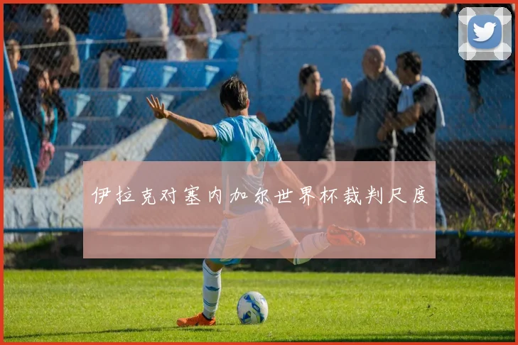 伊拉克对塞内加尔世界杯裁判尺度