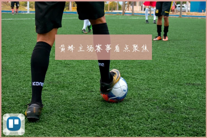 黄蜂主场赛事看点聚焦