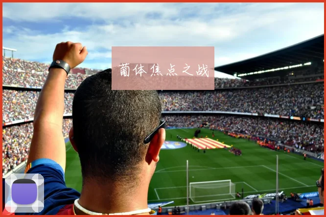 葡体焦点之战