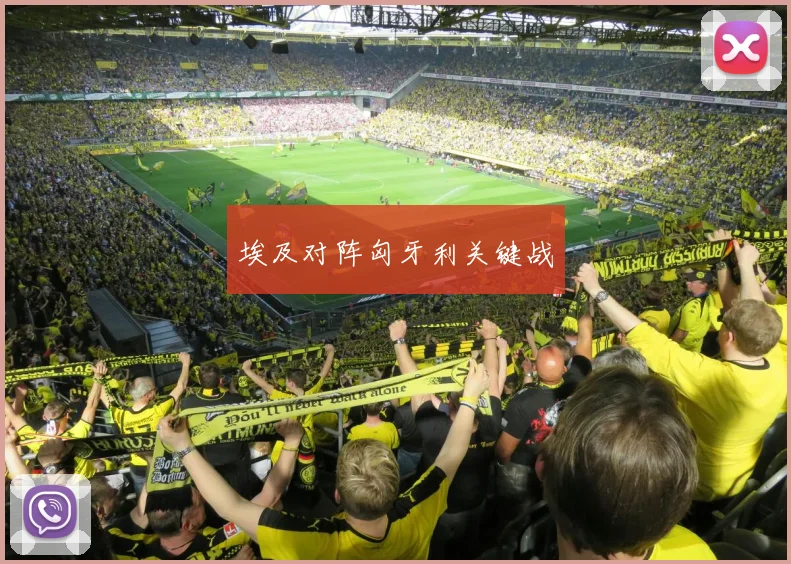 埃及对阵匈牙利关键战