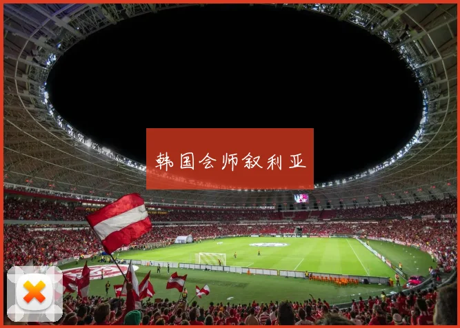 韩国会师叙利亚