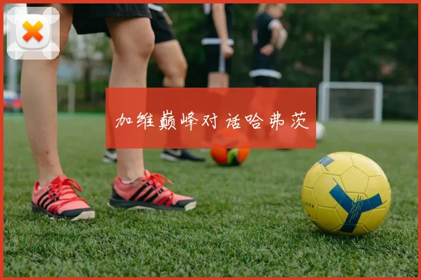 加维巅峰对话哈弗茨