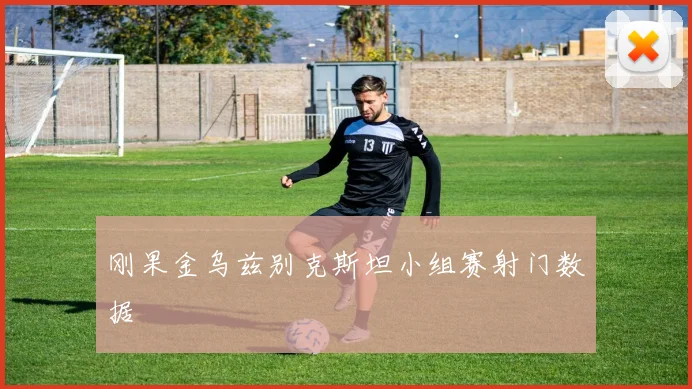 刚果金乌兹别克斯坦小组赛射门数据