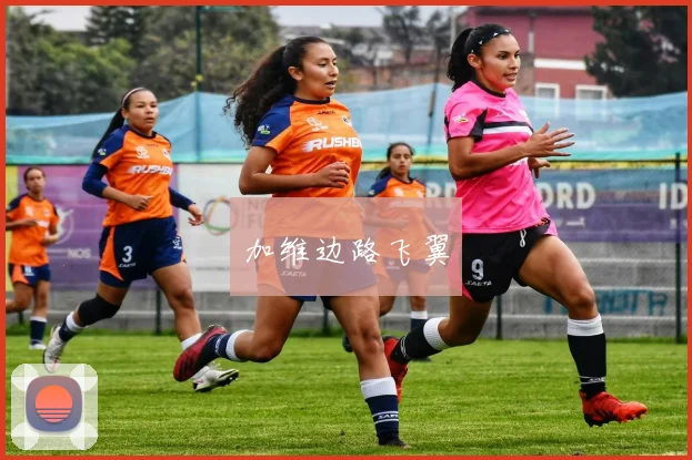 加维边路飞翼