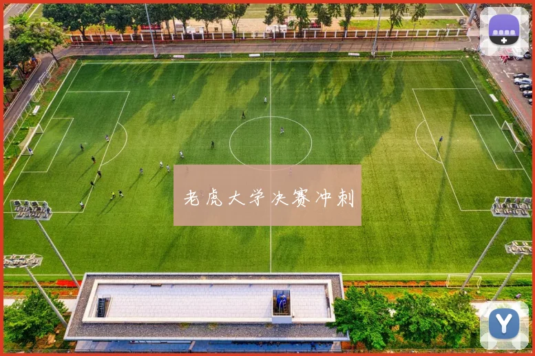 老虎大学决赛冲刺