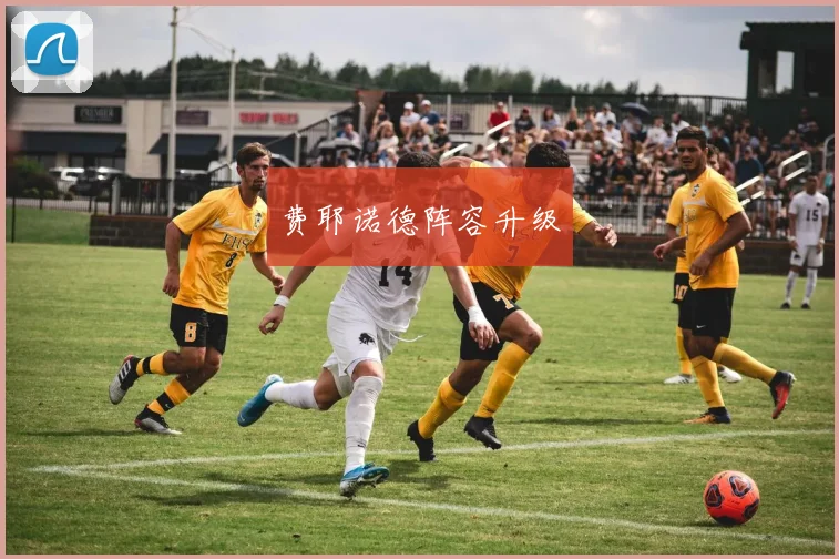 费耶诺德阵容升级