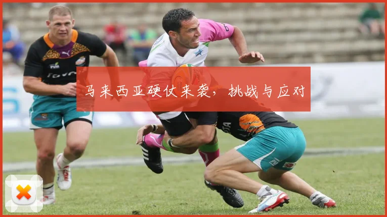 马来西亚硬仗来袭，挑战与应对