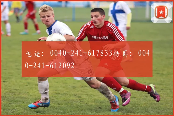 电话：0040-241-617833传真：0040-241-612092