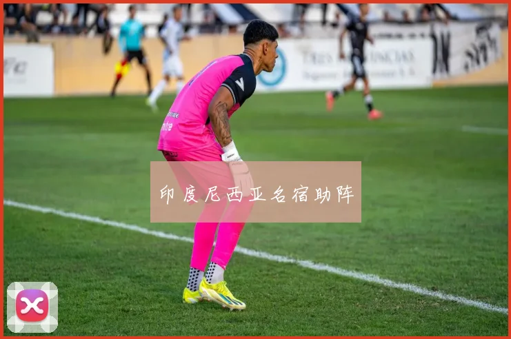 印度尼西亚名宿助阵