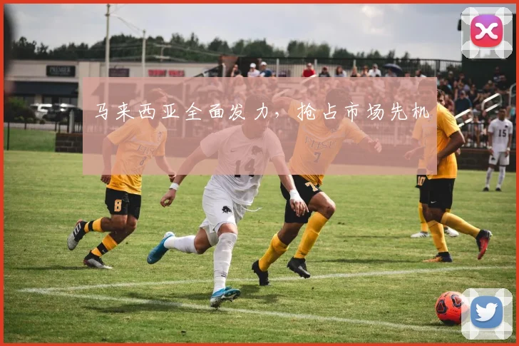 马来西亚全面发力，抢占市场先机