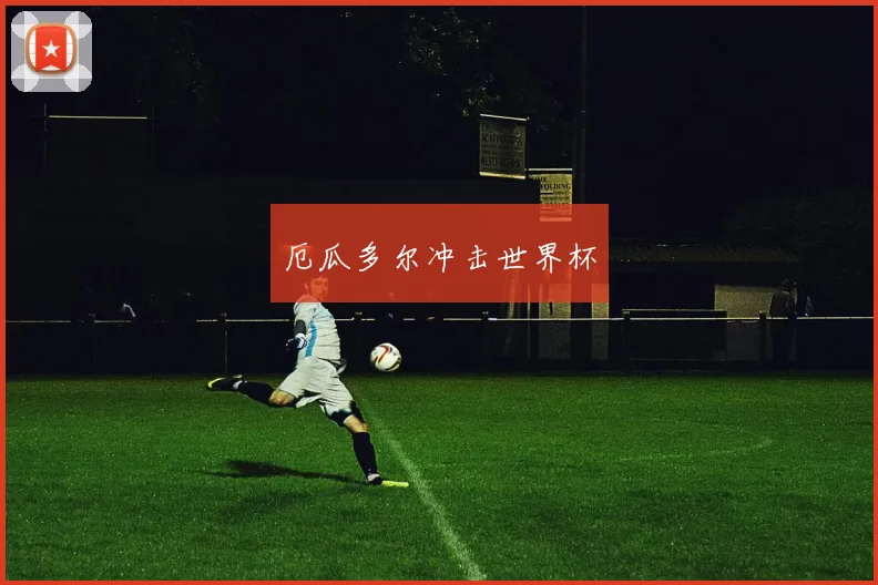 厄瓜多尔冲击世界杯