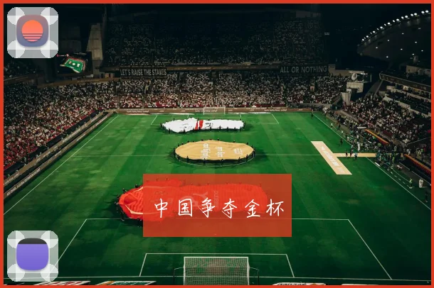 中国争夺金杯
