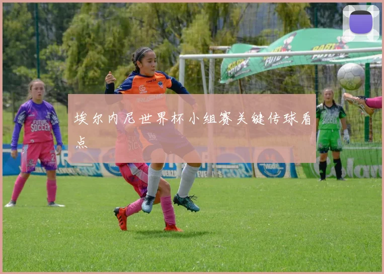 埃尔内尼世界杯小组赛关键传球看点