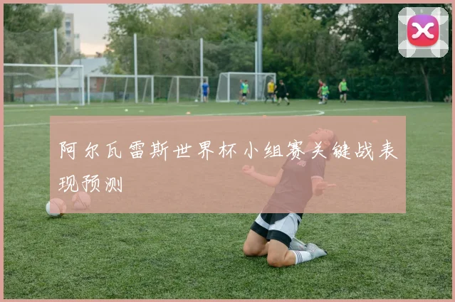 阿尔瓦雷斯世界杯小组赛关键战表现预测
