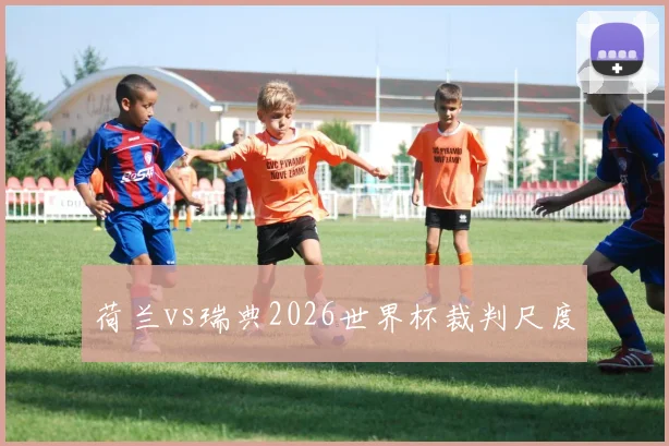 荷兰vs瑞典2026世界杯裁判尺度